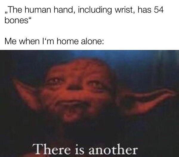 The human hand, including wrist, has 54 bones Me when I'm home alone There is another