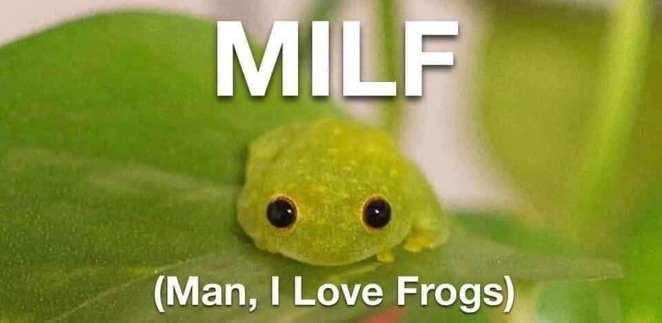 Milf Man, I Love Frogs