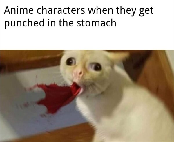 cat coughing meme - Anime characters when they get punched in the stomach