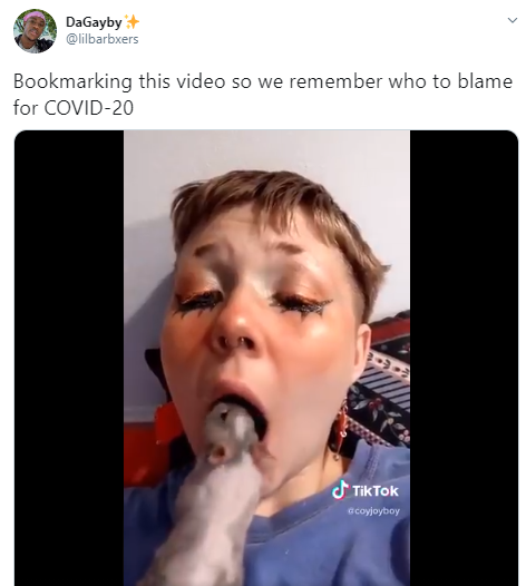 facial expression - DaGayby Bookmarking this video so we remember who to blame for Covid20 TikTok coyjoyboy