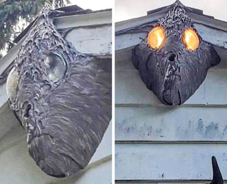 "This is a wasp nest that has grown around the flood lights on a garage"