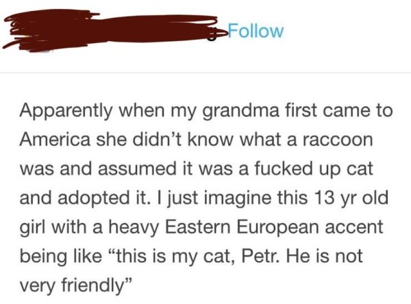paper - Apparently when my grandma first came to America she didn't know what a raccoon was and assumed it was a fucked up cat and adopted it. I just imagine this 13 yr old girl with a heavy Eastern European accent being this is my cat, Petr. He is not ve