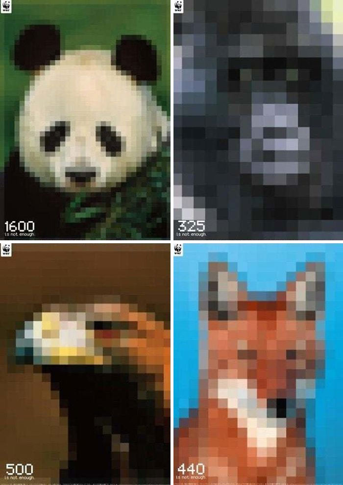 wwf pixel campaign - 1601 325 is not enough is not enough 6 500 440 is not enough is not enough