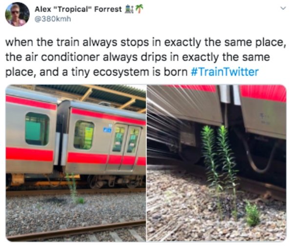 Alex "Tropical" Forrest when the train always stops in exactly the same place, the air conditioner always drips in exactly the same place, and a tiny ecosystem is born