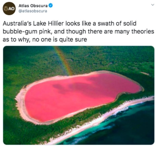 lake hillier meme - Atlas Obscura Ao Australia's Lake Hillier looks a swath of solid bubblegum pink, and though there are many theories as to why, no one is quite sure