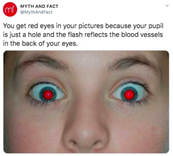 fix red eye - Myth And Fact mi And Fact You get red eyes in your pictures because your pupil is just a hole and the flash reflects the blood vessels in the back of your eyes.