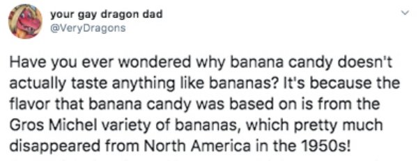 your gay dragon dad Have you ever wondered why banana candy doesn't actually taste anything bananas? It's because the flavor that banana candy was based on is from the Gros Michel variety of bananas, which pretty much disappeared from North America in the