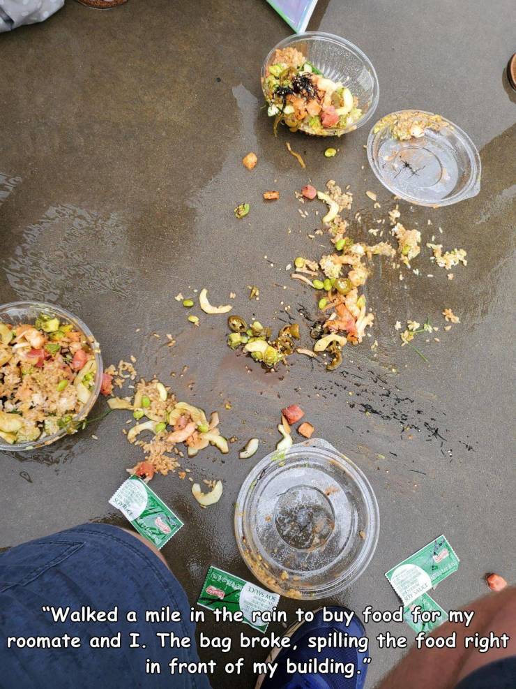 vegetarian food - Davos "Walked a mile in the rain to buy food for my roomate and I. The bag broke, spilling the food right in front of my building."