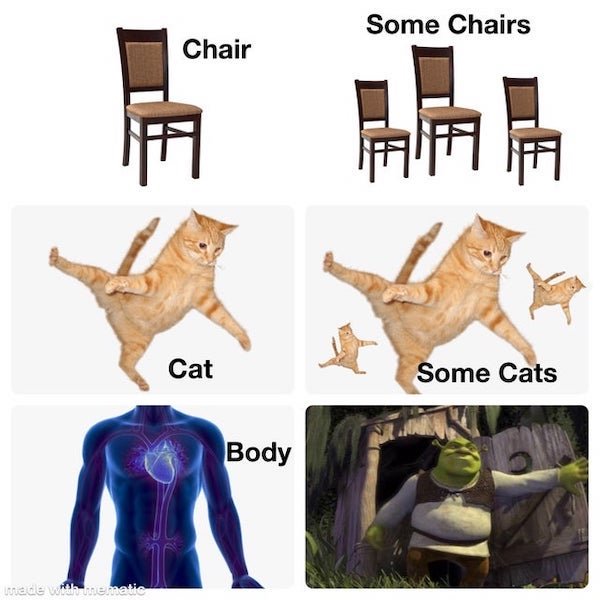 funny memes -chair some chairs. cat some cats. body some body shrek