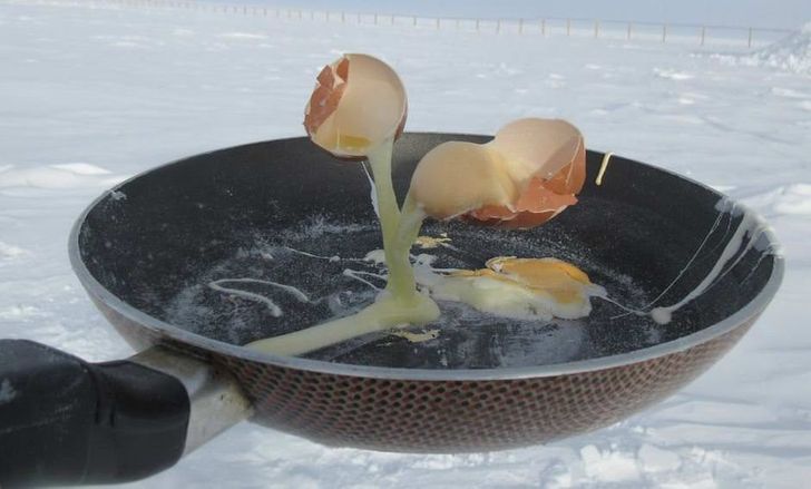 frozen food in antarctica