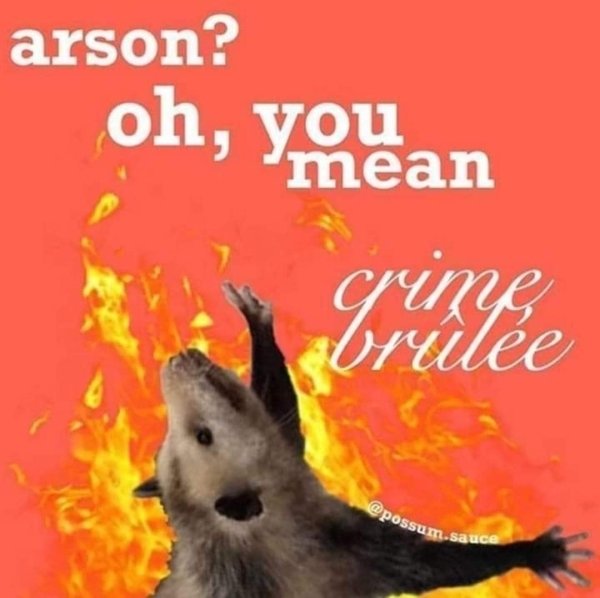 crime brulee meme - arson? oh, you mean . .sauce