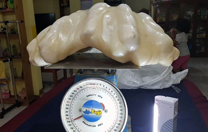 luck of fortune - giant pearl in the philippines - 2 1 9 Nacity So 10 11 39 38 37 38 35 341 Graduation 13 14 2.15 16 17 33 2006 18