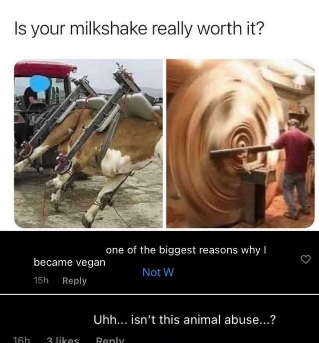 your milkshake really worth - Is your milkshake really worth it? one of the biggest reasons why I became vegan Not W 15h Uhh... isn't this animal abuse...? 16h 3 Renly