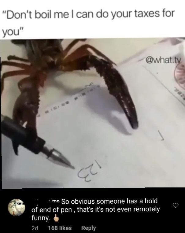 crab - "Don't boil me I can do your taxes for you" .tv {al te So obvious someone has a hold of end of pen , that's it's not even remotely funny. 2d 168