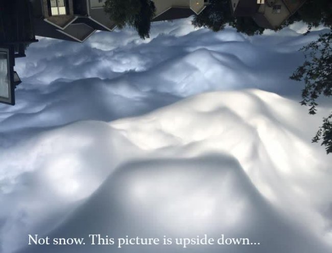 snow - Not snow. This picture is upside down...