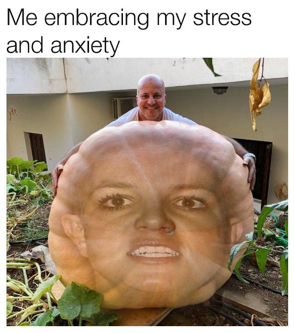 funny memes and pics - Me embracing my stress and anxiety