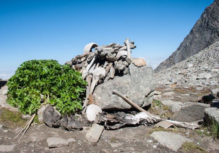 About 200 human skeletons were discovered near Roopkund, a remote lake high in the Himalayan Mountains, by a British forest guard in 1942. At first, it was believed that these skeletons belonged to Japanese soldiers who had died during World War II. However, in 2004, scientists were able to date the skeletons back to around 850 AD! Apparently, the remains belonged to Indian tribesmen who died due to a hail storm.