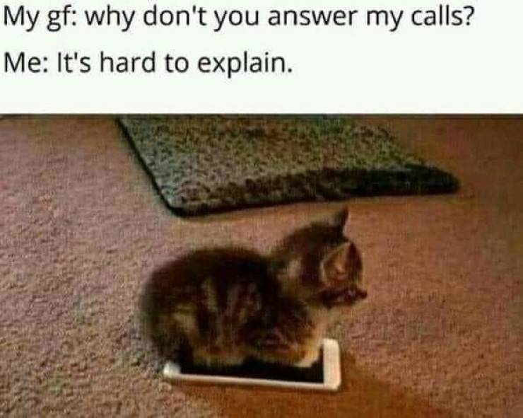 wholesome memes- funny memes - don t talk to me im angy - My gf why don't you answer my calls? Me It's hard to explain.