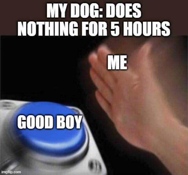 wholesome memes- funny memes - aphg memes - My Dog Does Nothing For 5 Hours Me Good Boy imgflip.com