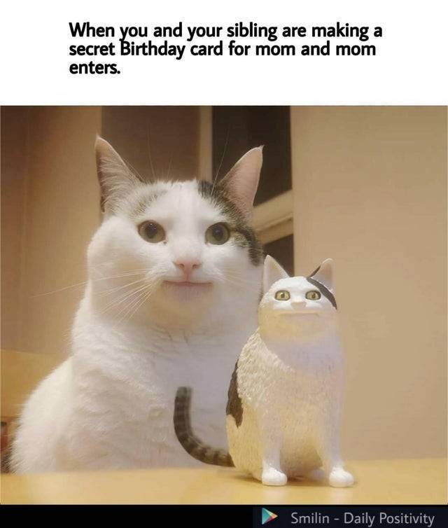 wholesome memes- funny memes - Cat - When you and your sibling are making a secret Birthday card for mom and mom enters. Smilin Daily Positivity
