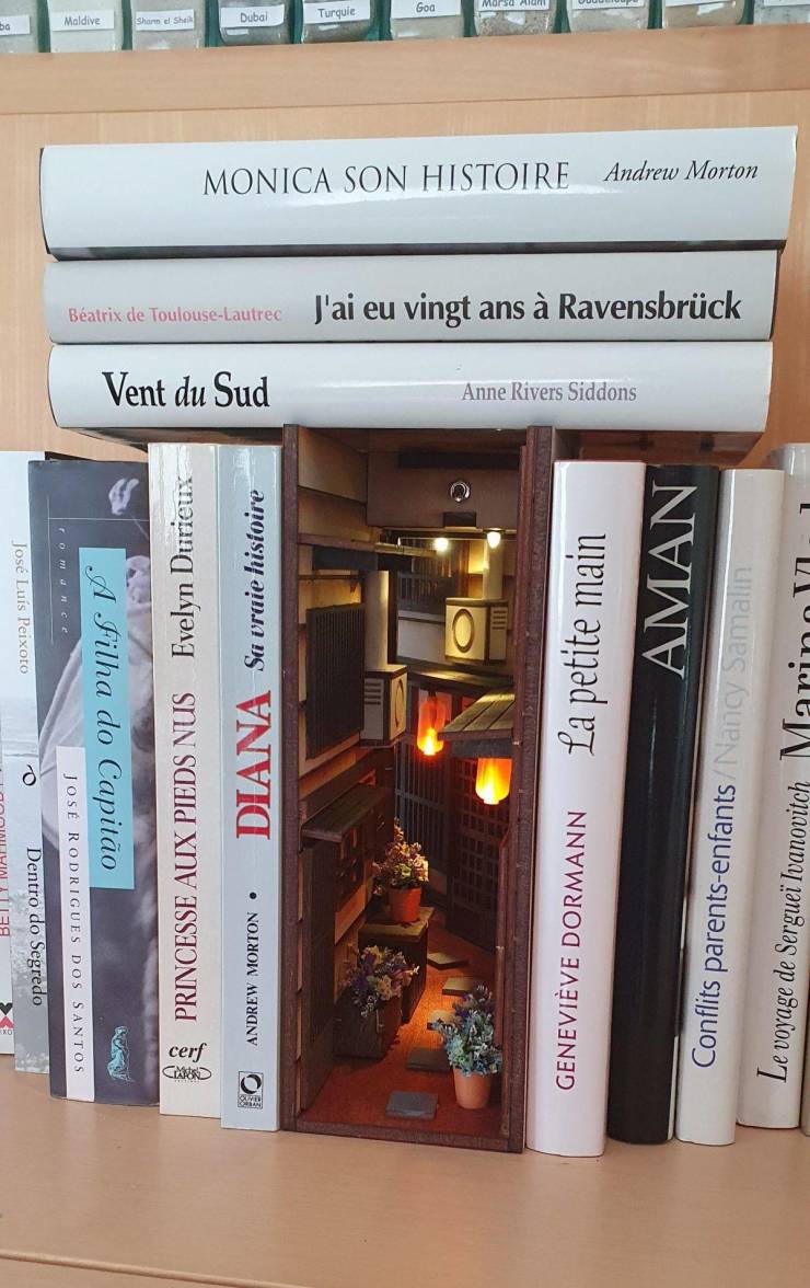 “This japanese old town mini-alley on the bookshelf at my parents house.”