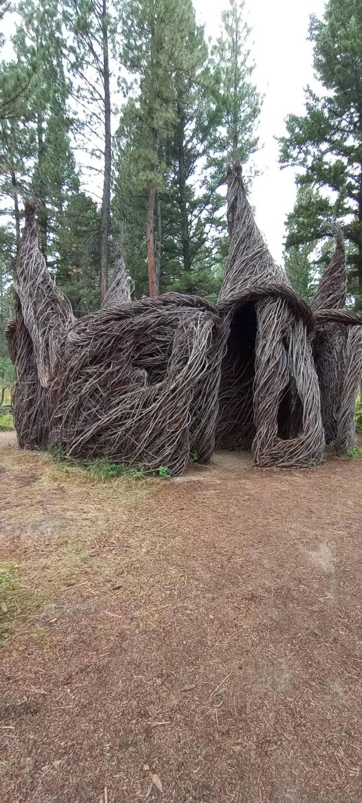 “A weird house made entirely out of tree branches.”