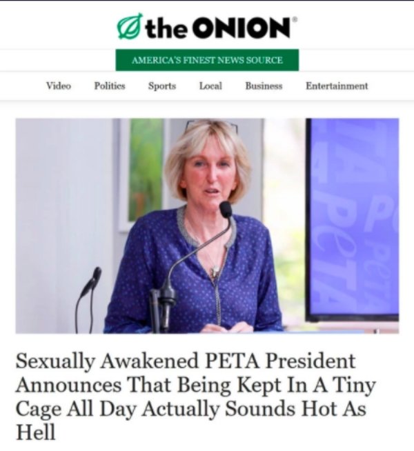 onion - the Onion America'S Finest News Source Video Politics Sports Local Business Entertainment Per Sexually Awakened Peta President Announces That Being Kept In A Tiny Cage All Day Actually Sounds Hot As Hell