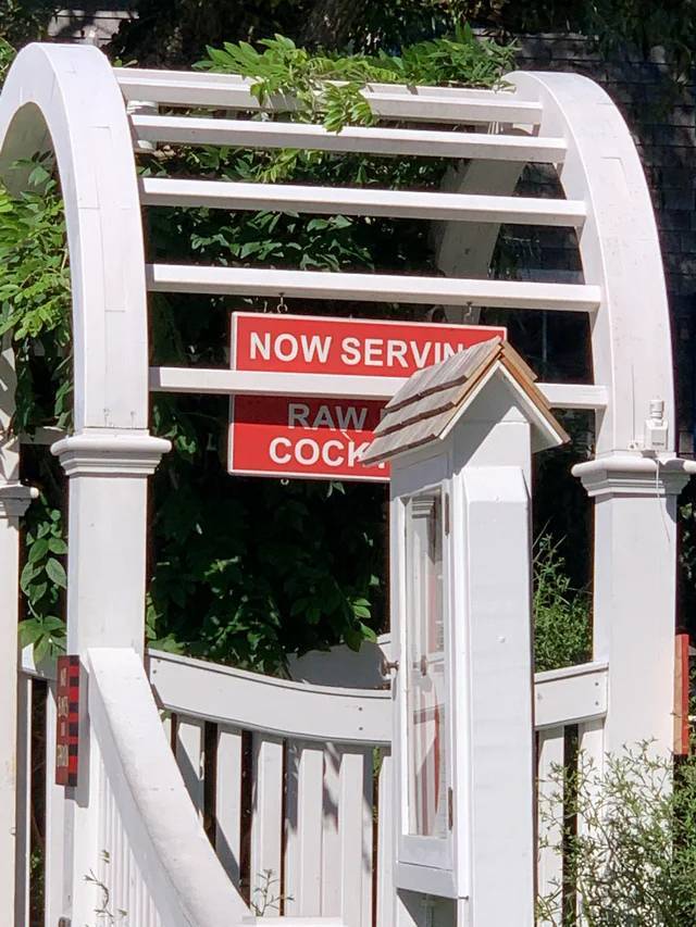 house - Now Servin Raw Cock