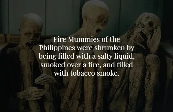 human - Fire Mummies of the Philippines were shrunken by being filled with a salty liquid, smoked over a fire, and filled with tobacco smoke. .