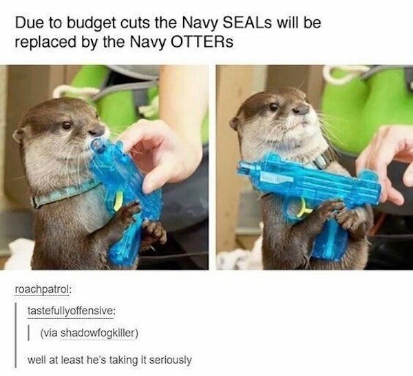 navy otters - Due to budget cuts the Navy SEALs will be replaced by the Navy Otters roachpatrol tastefullyoffensive via shadowfogkiller well at least he's taking it seriously