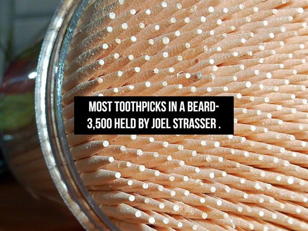 material - Most Toothpicks In A Beard 3,500 Held By Joel Strasser.