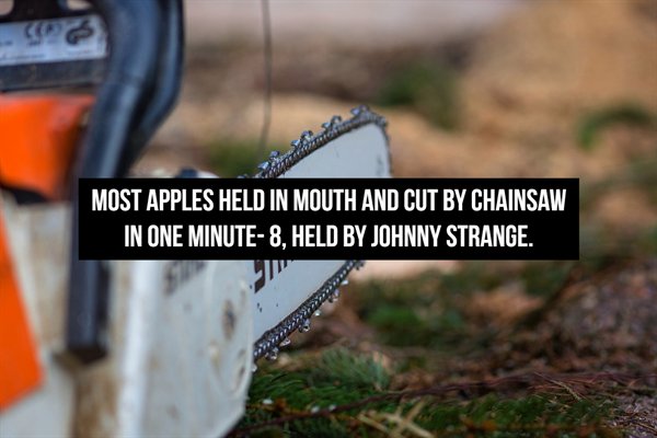 Chainsaw - Most Apples Held In Mouth And Cut By Chainsaw In One Minute8, Held By Johnny Strange.