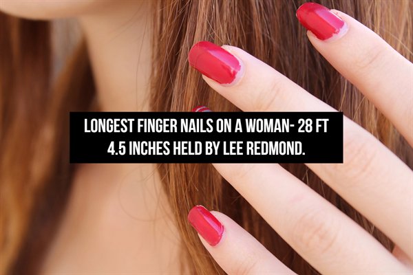Longest Finger Nails On A Woman28 Ft 4.5 Inches Held By Lee Redmond.