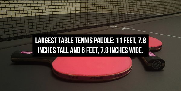 Largest Table Tennis Paddle 11 Feet, 7.8 Inches Tall And 6 Feet, 7.8 Inches Wide.