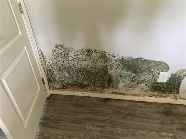 “Built a brand new house and the day of final inspection come to find its infested with mold.”