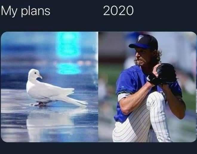 randy johnson 2020 meme - My plans 2020