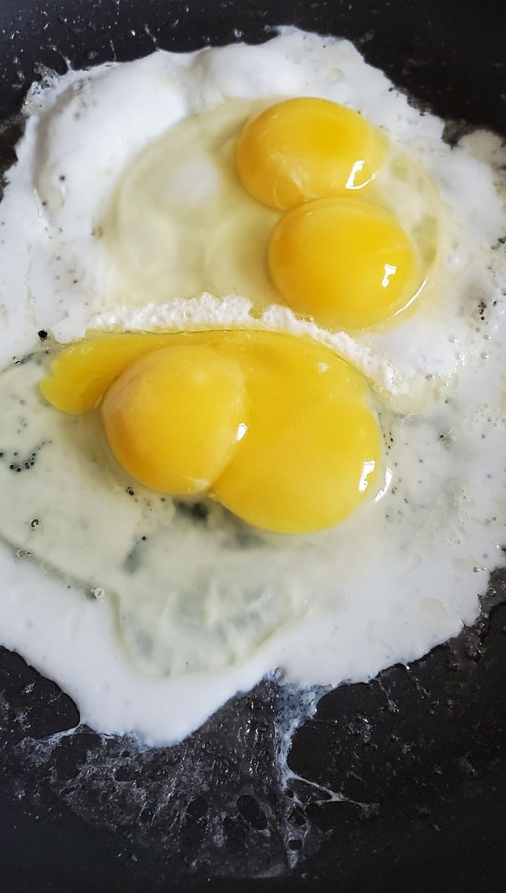 egg yolk - L