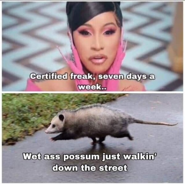 wet ass possum walking down the street - W Certified freak, seven days a week.. Wet ass possum just walkin down the street