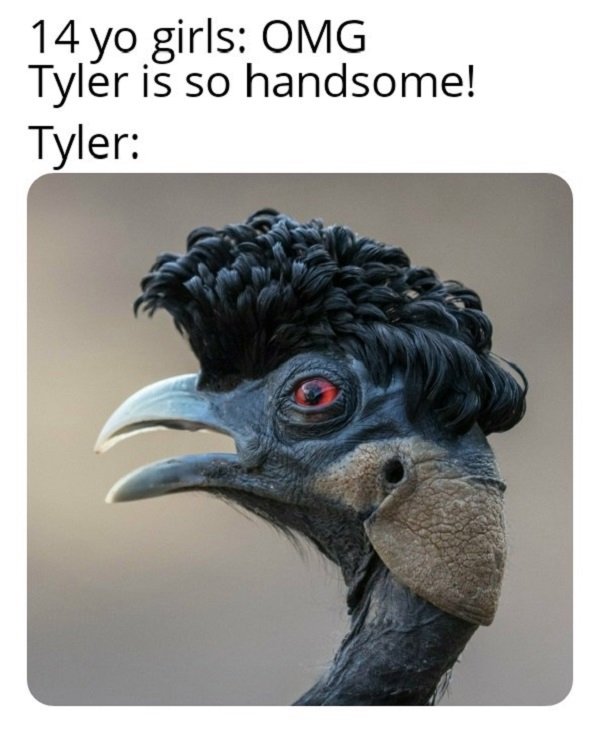 beak - 14 yo girls Omg Tyler is so handsome! Tyler