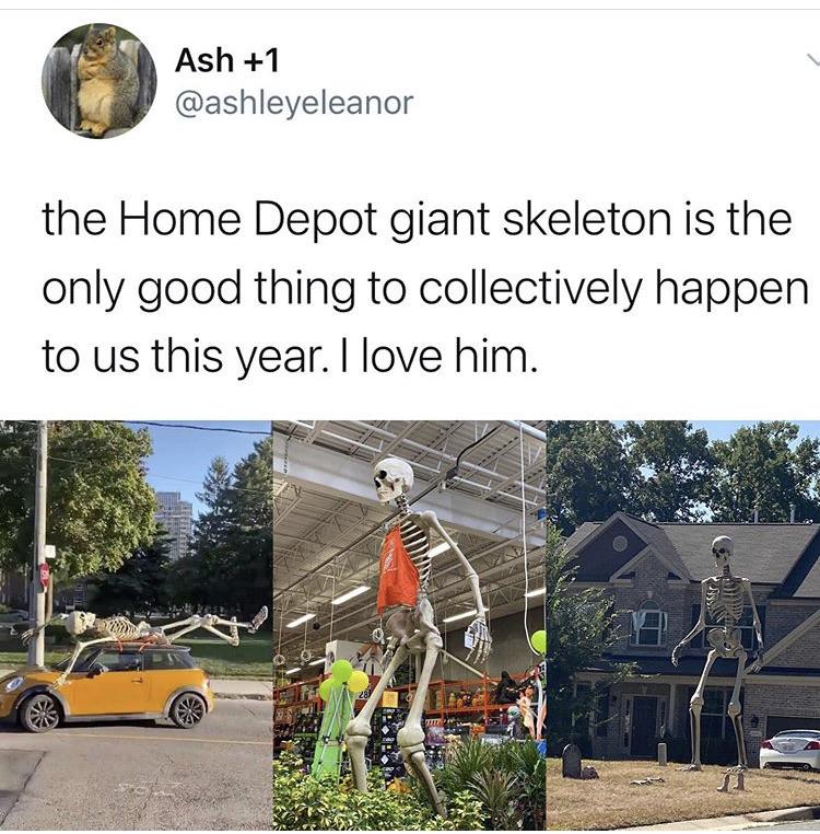 tree - Ash 1 the Home Depot giant skeleton is the only good thing to collectively happen to us this year. I love him.