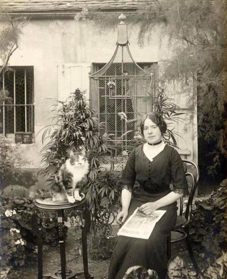 parisian woman with her cat in her cannabis garden 1910