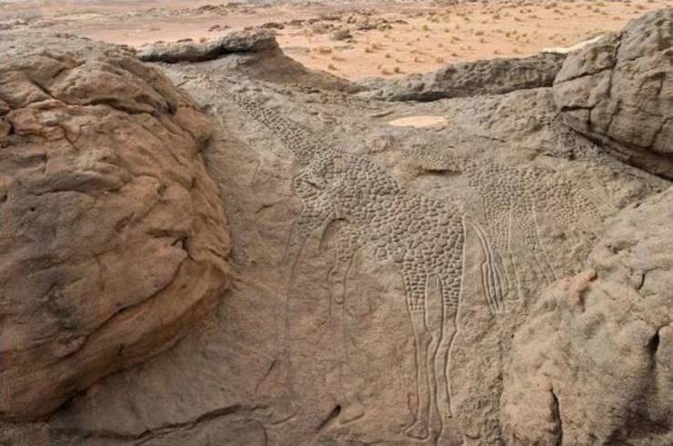 10000 year old giraffe engravings in the sahara desert