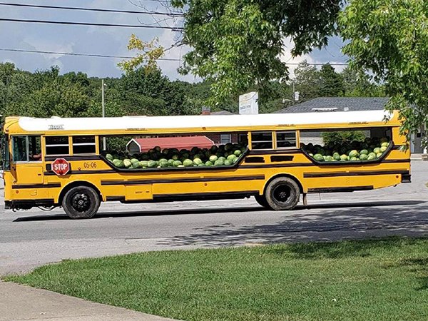 watermelon school bus - Istop 0508