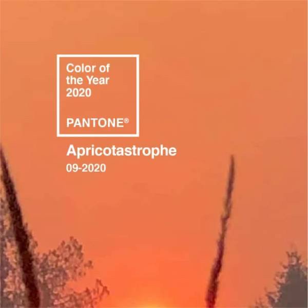 sky - Color of the Year 2020 Pantone Apricotastrophe 092020