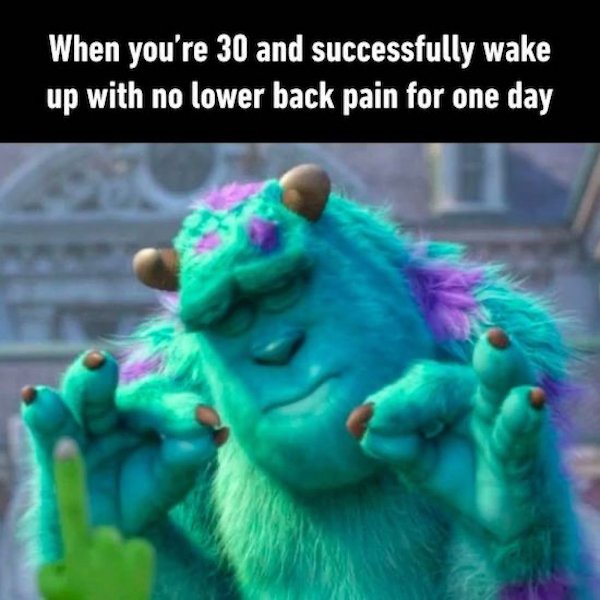 sully meme template - When you're 30 and successfully wake up with no lower back pain for one day
