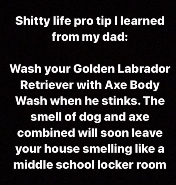 bad life advice - Shitty life pro tip I learned from my dad Wash your Golden Labrador Retriever with Axe Body Wash when he stinks. The smell of dog and axe combined will soon leave your house smelling like a middle school locker room