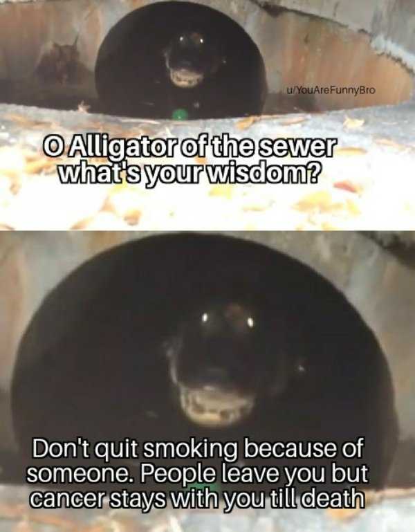 bad life advice - Alligator of the sewer what's your wisdom? Don't quit smoking because of someone. People leave you but cancer stays with you till death