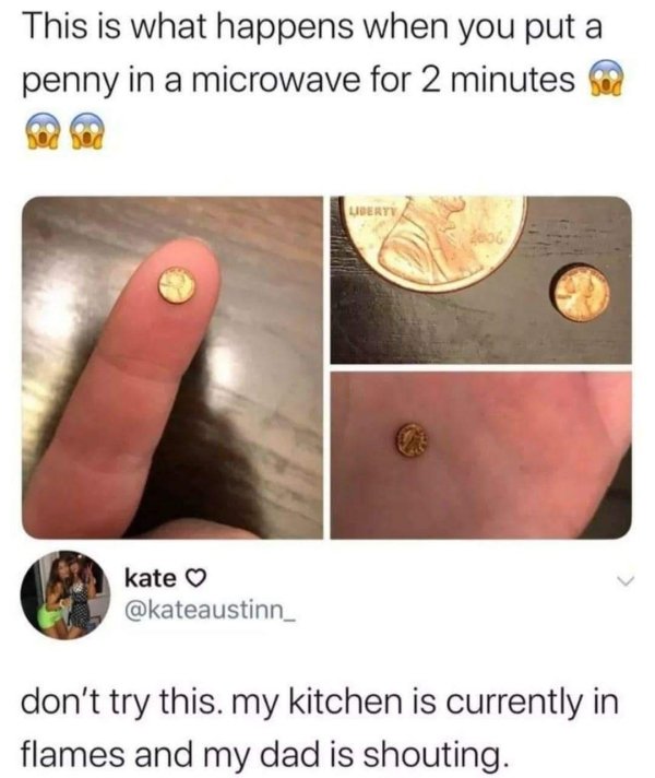 bad life advice - This is what happens when you put a penny in a microwave for 2 minutes - don't try this. my kitchen is currently in flames and my dad is shouting.