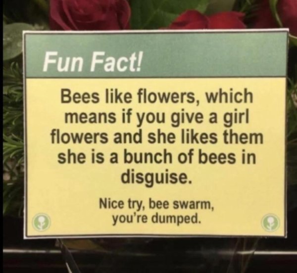 bad life advice - Fun Fact! Bees like flowers, which means if you give a girl flowers and she them she is a bunch of bees in disguise. Nice try, bee swarm, you're dumped.