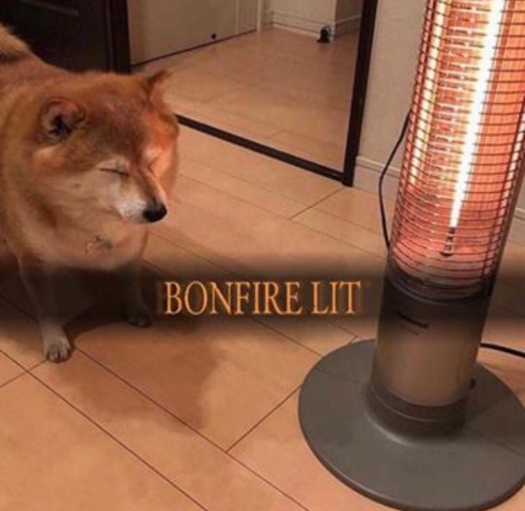 bonfire lit meme - Bonfire Lit